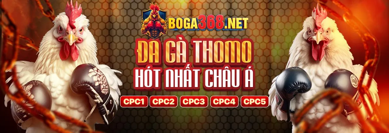 Tổng quan về nền tảng rr88bet đăng nhập