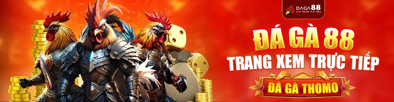 Nền Tảng Cá Cược rr88bet Uy Tín