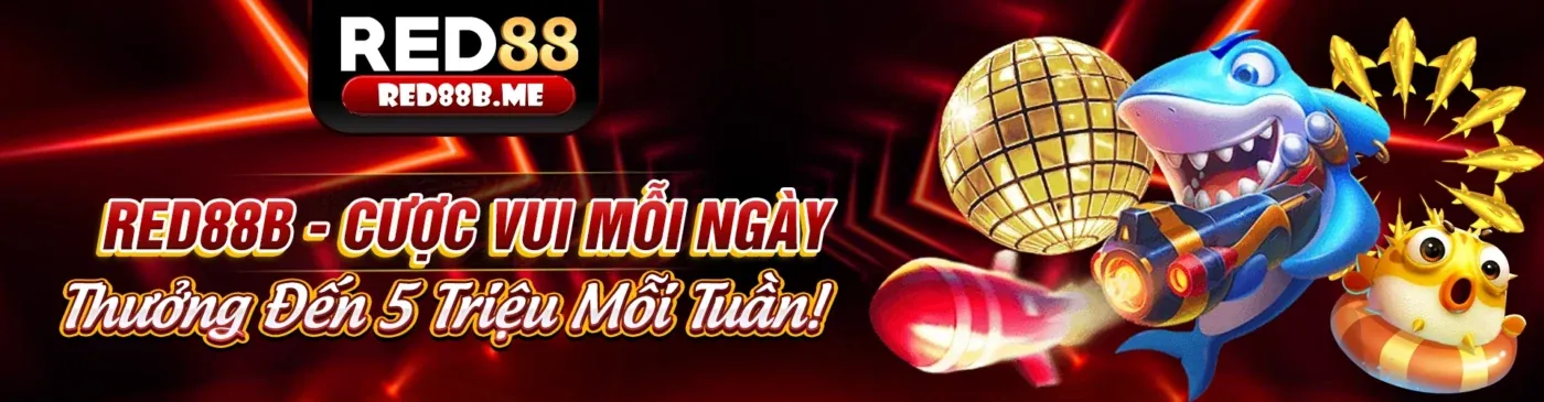 Sân vận động với ánh đèn rực rỡ, biểu tượng cá cược thể thao rr88bet