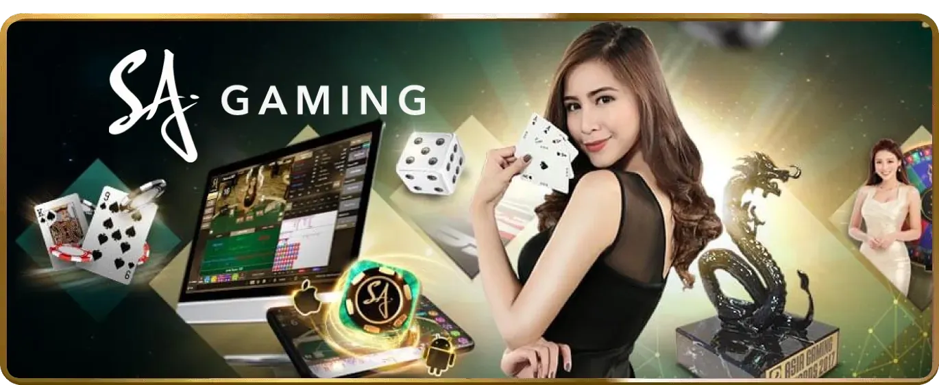 Đội ngũ chuyên gia rr88bet